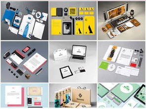 成都平面设计与软件开发 就业培训双轨道的职业选择与前景分析