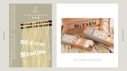 融合农副产品平面设计与软件开发的面条品牌创新之路